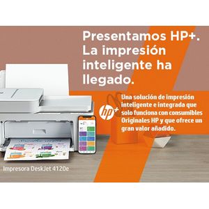 26Q90B-629-Galeria-22