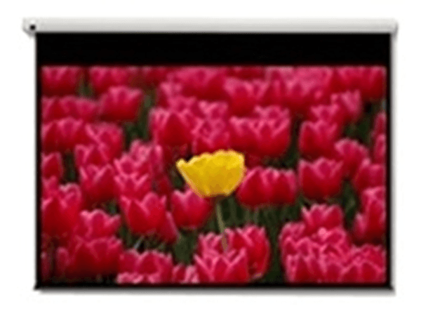 pantalla 16 9 - motorizada