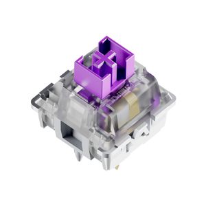 NS-KB-SERIKEV2-IVO-Galeria-16