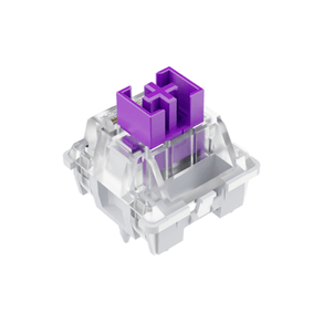 SWITCH-NEWSKILL-NEWSITCH-VIOLETA--X20-