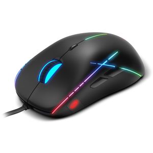 OZNEONX50-Galeria-2