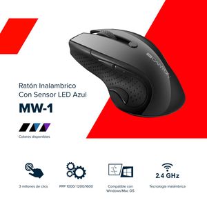 CNMSCMSW01B-Galeria-5