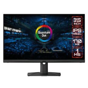 MONITOR-GAMING-MSI-MAG321QR-QD-31.5--WQHD--2560-x-1440---170HZ--1MS--2X-HDMI-DP-