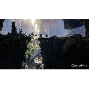 1067060-Galeria-7