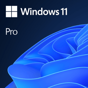 MICROSOFT-WINDOWS-11-PRO-X64--OEM-ENGLISH-1PK-FQC-10528-