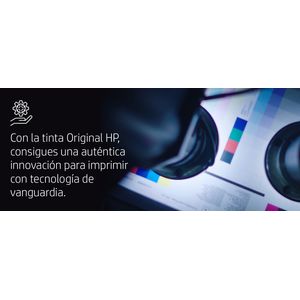 L0S70AE-BGY-Galeria-7