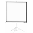 PANTALLA PROYECCION APPROX APPP180T 180X180 TRIPODE