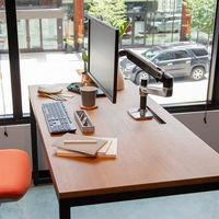 Miniatura 7 de LX Desk Mount Arm Polished Aluminium