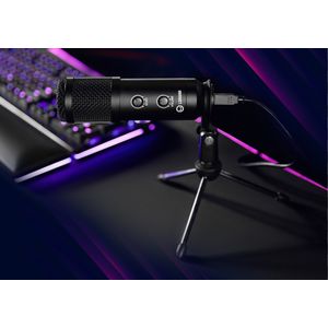 LRG-CMT313-Galeria-4
