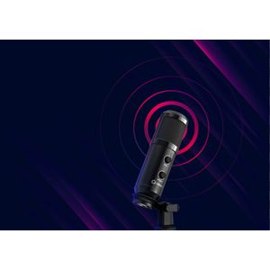 LRG-CMT313-Galeria-5