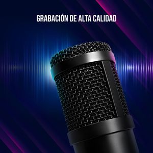LRG-CMT313-Galeria-9