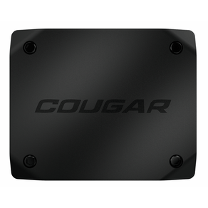 Cougar Capturadora Video Envision