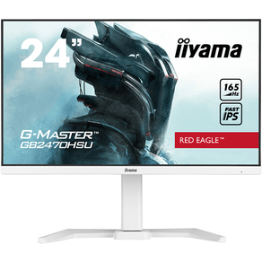 MONITOR IIYAMA 24
