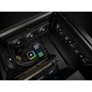 CW-9060058-WW-Galeria-9