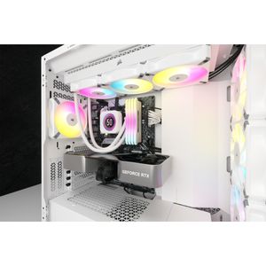CW-9060077-WW-Galeria-4