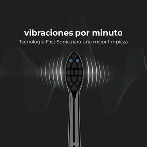 ADB0006-Galeria-3