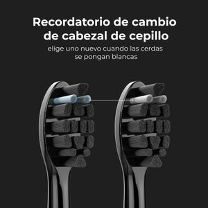 ADB0006-Galeria-5