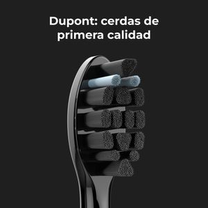 ADB0006-Galeria-12
