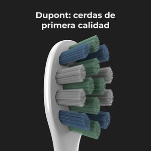 ADB0001S-Galeria-15