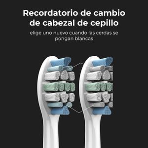ADB0003-Galeria-6