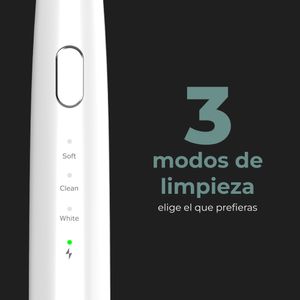 ADB0007-Galeria-6
