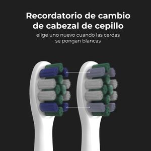 ADB0007-Galeria-7