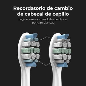 ADB0005-Galeria-12