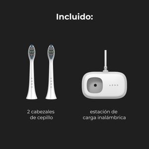 ADB0005-Galeria-15