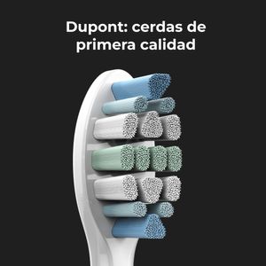 ADB0005-Galeria-19