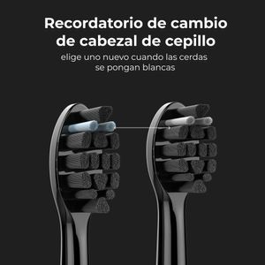 ADB0004-Galeria-13