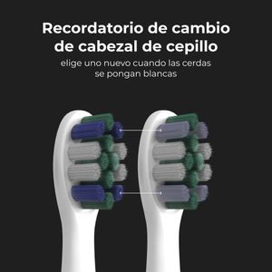 ADB0008-Galeria-6