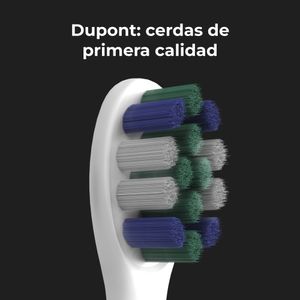 ADB0008-Galeria-11