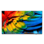 PHILIPS-75---75HFL6214U-LED-4K-Ultra-HD