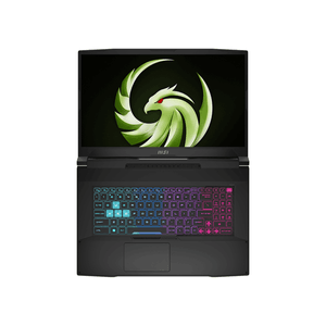 MSI-Bravo-17-088XES-AMD-R7-7735-16-1TB-4060-DOS-17
