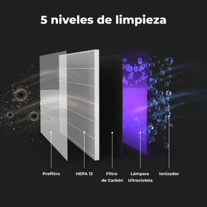 AAP0004-Galeria-2