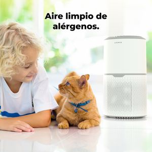 AAP0004-Galeria-7