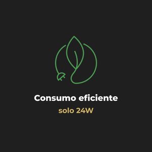AAP0004-Galeria-11