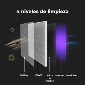 AAP0001S-Galeria-2