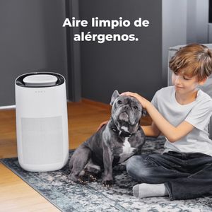 AAP0001S-Galeria-9