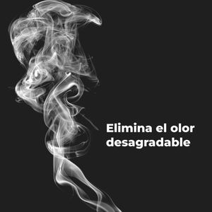AAP0001S-Galeria-11