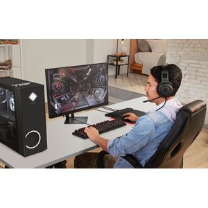 8AC94AA-Galeria-12