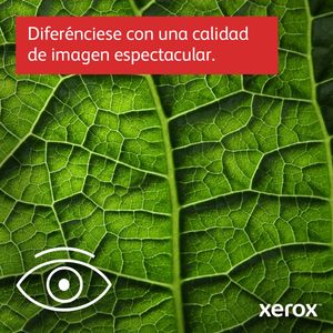 C315V_DNI-Galeria-17