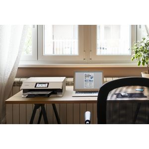 6152C026-Galeria-8