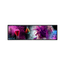 MONITOR-37-S-LINE-STRETCHED-SIGNANE