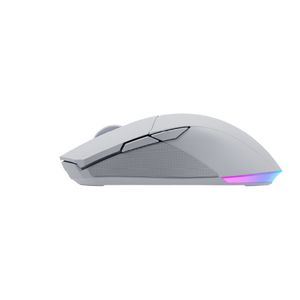 NS-MS-CHIRON-PRO-IV-Galeria-3