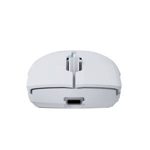 NS-MS-CHIRON-PRO-IV-Galeria-5