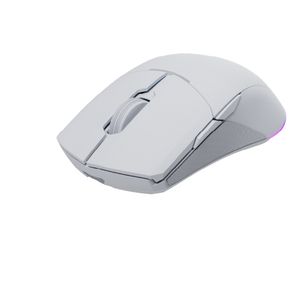 NS-MS-CHIRON-PRO-IV-Galeria-6