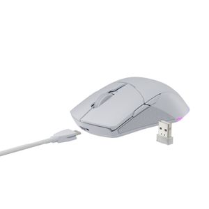 NS-MS-CHIRON-PRO-IV-Galeria-7