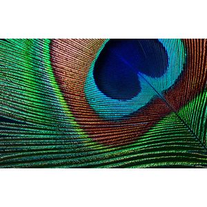 V11H961040-Galeria-10