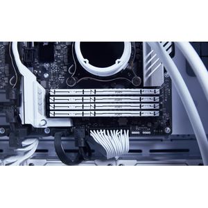 KF560C30BWE-32-Galeria-4